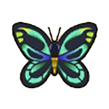 알렉산드라비단제비나비